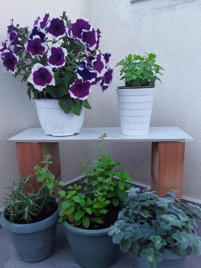 Near The Airport Kiriaki'S House Apartment Heraklion  Ngoại thất bức ảnh